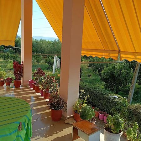 Guest House Fetie Berat Exterior photo