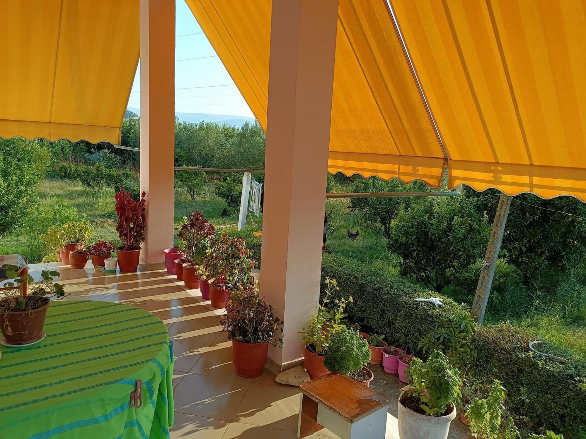 Guest House Fetie Berat Exterior photo